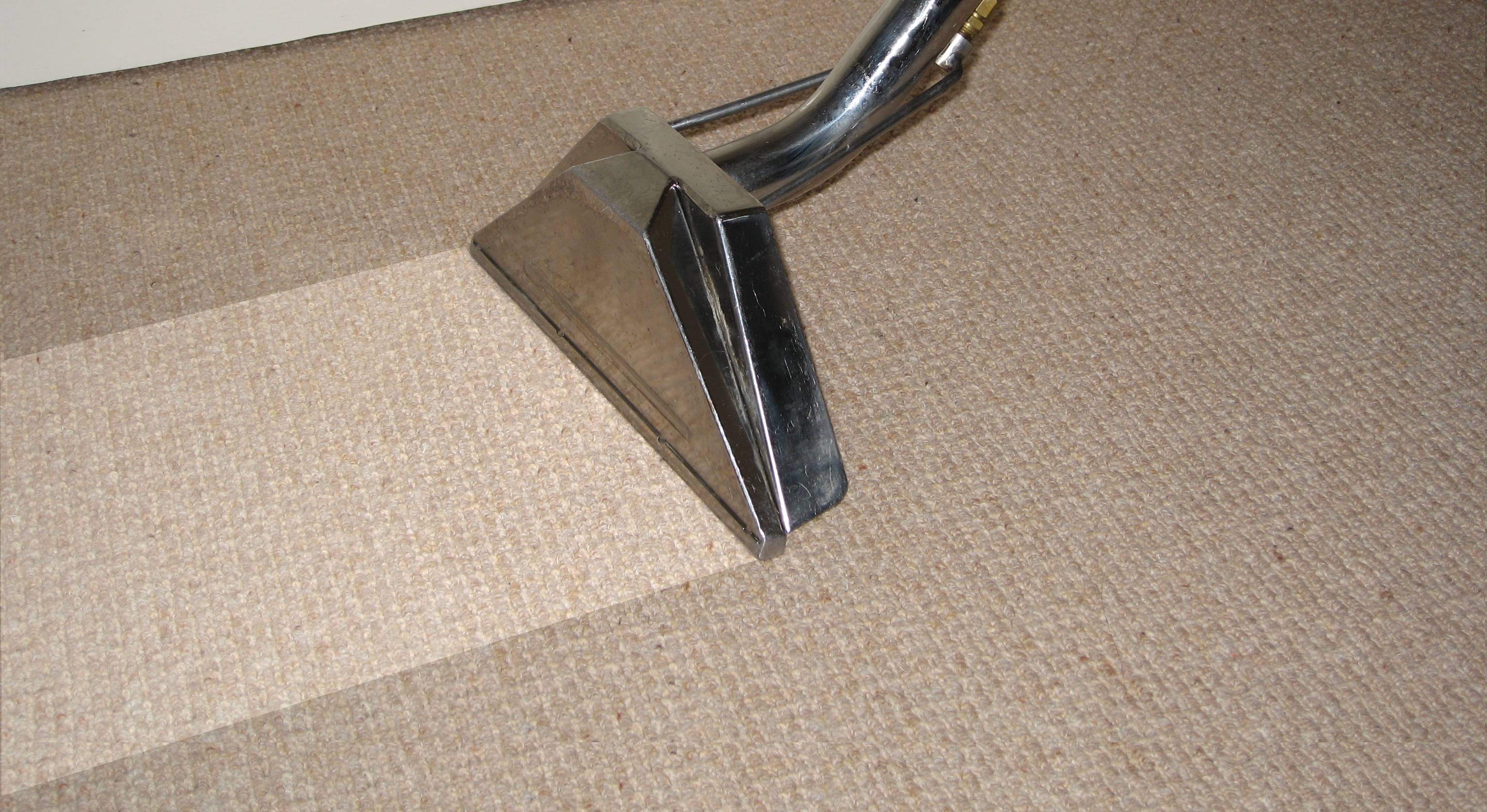 carpet-cleaning-wand (1)